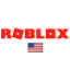 Picture of USA Roblox